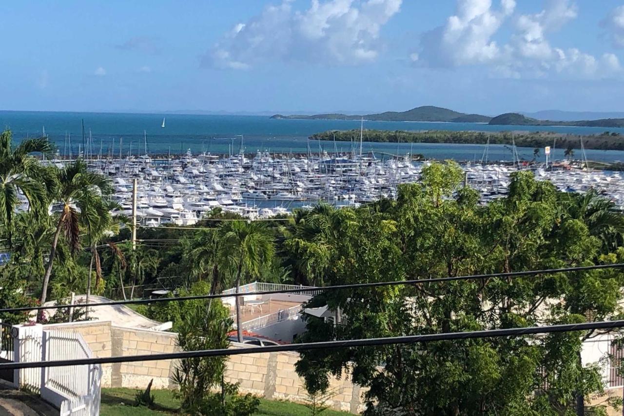 Peaceful Puerto Rico Paradise With Views And Balcony Фахардо Екстериор снимка